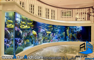 Saltwater aquarium